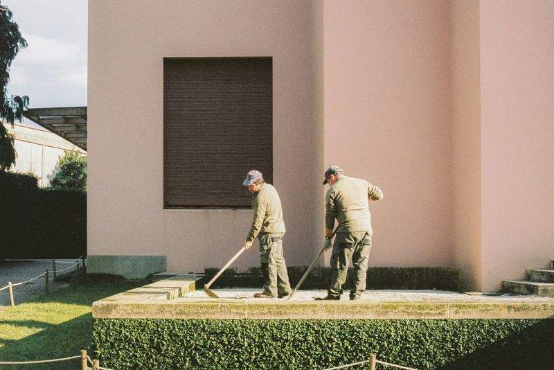 Spring Garden Refresh Ideas for a Healthier Landscape