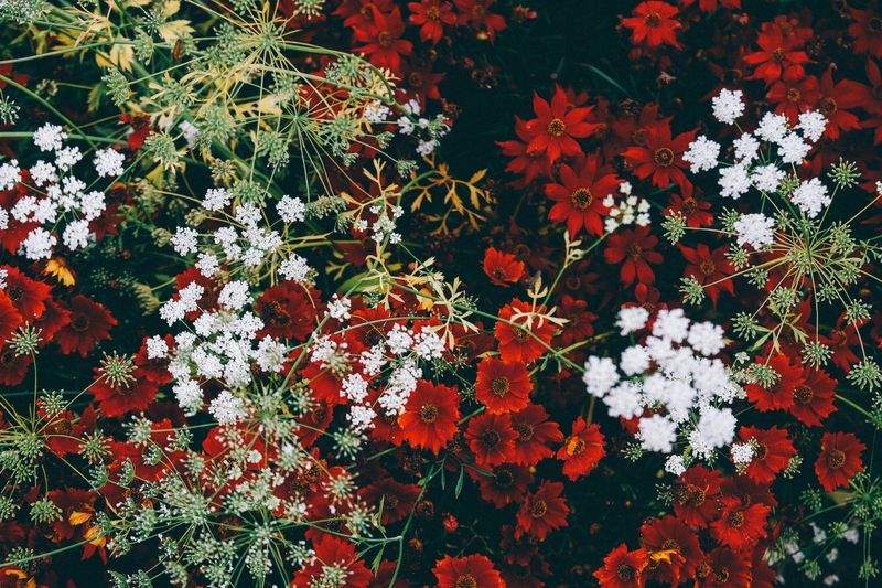 Planning a Backyard Space That Feels Comfortable Year-Round