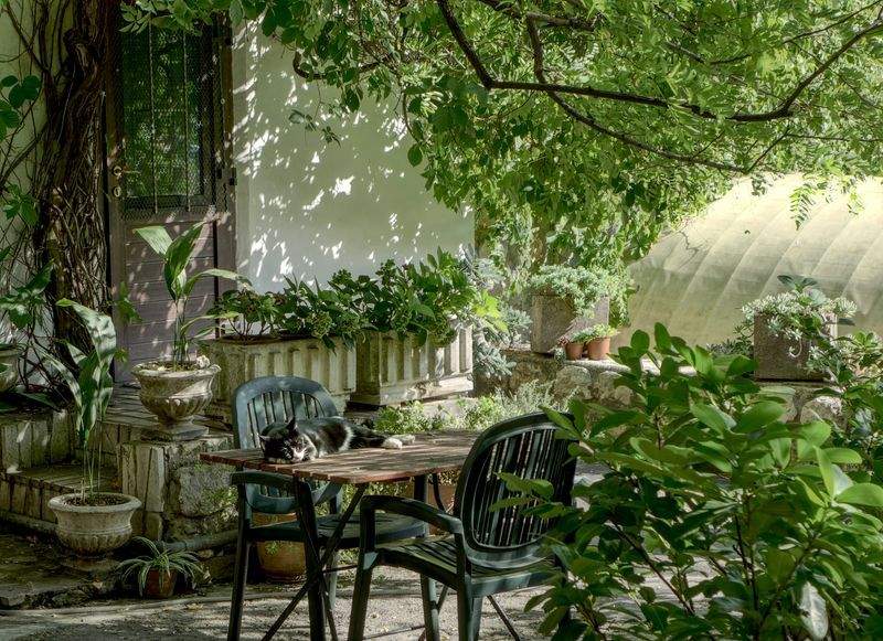 Maple Leaf Garden & Landscape Co. 2